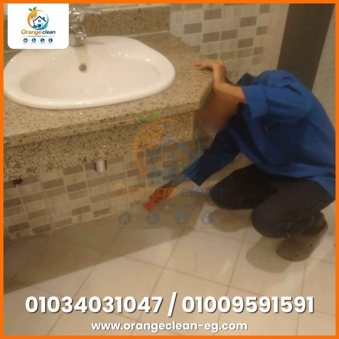 صورة رقم 61 من معرض Orange Clean