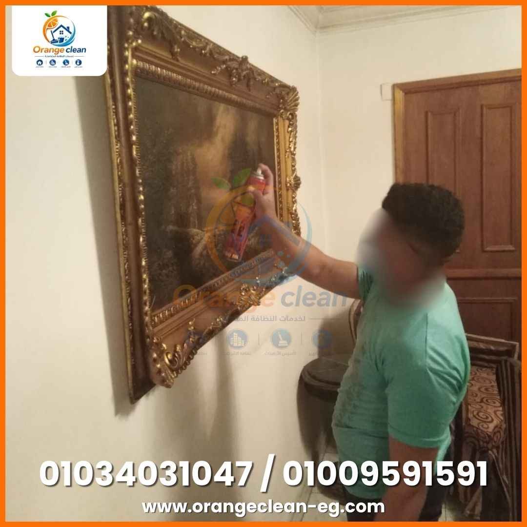 صورة رقم 21 من معرض Orange Clean